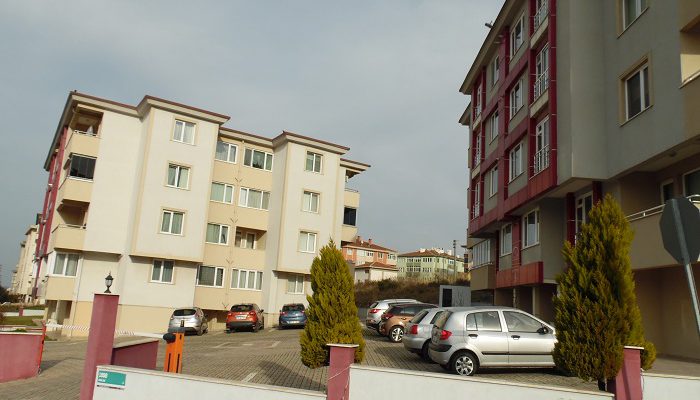 saadet2